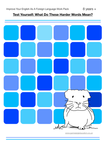 Test Yourself: What Do These Harder Words Mean? (English As A Foreign Language Work Pack)  8+