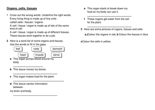 KS3 cells to systems