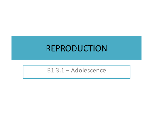 Compiled Biology Slides KS3 Year 7