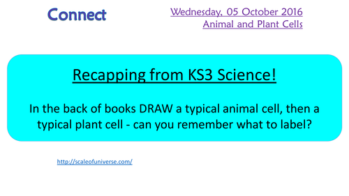 KS4 AQA New spec 2016 B1 Plant and animal cells