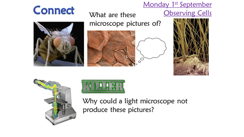 KS4 AQA New 2016 L3 Observing cells