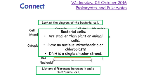 KS4 AQA New 2016 B1 Eukarytoes and Prokaryotes