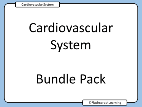 GCSE PE: Cardiovascular System - Bundle Pack