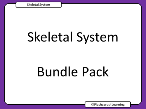 GCSE PE: Skeletal System