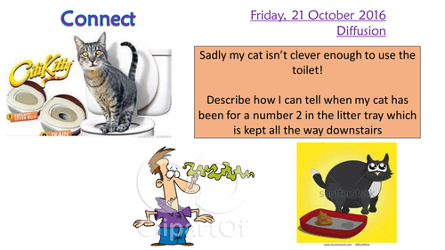 KS4 New AQA 2016 B1 Diffusion and surface area practical