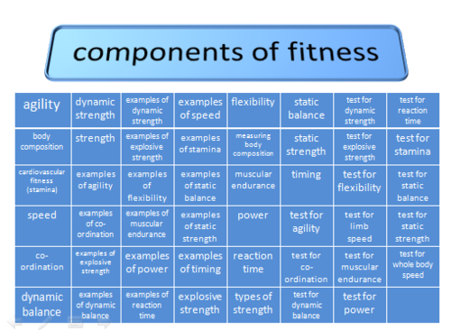 GCSE PE: Components of Fitness - Bundle Pack