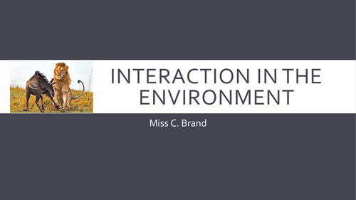 Interaction in the environment