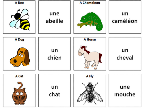 French Vocabulary Card Sorts