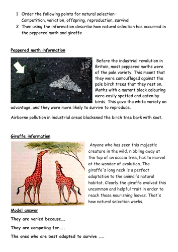 KS3 and 4 natural selection by tomllewellyn - Teaching Resources - Tes