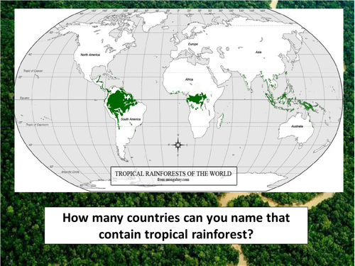 Amazon Rainforest Introduction
