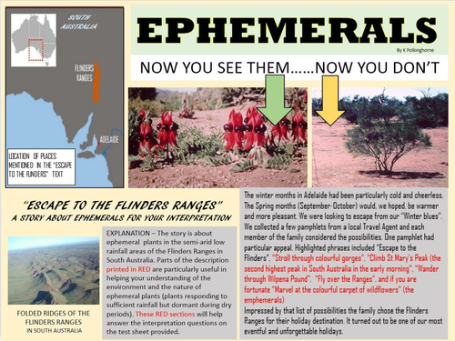 EPHEMERALS - DESERT PLANTS NOT OFTEN VISIBLE