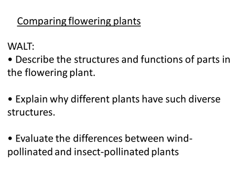 Flowering plants KS3 NEW CURRICULUM