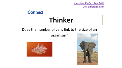 KS4 AQA New 2016 B2 Cell division L2 Cell differentiation