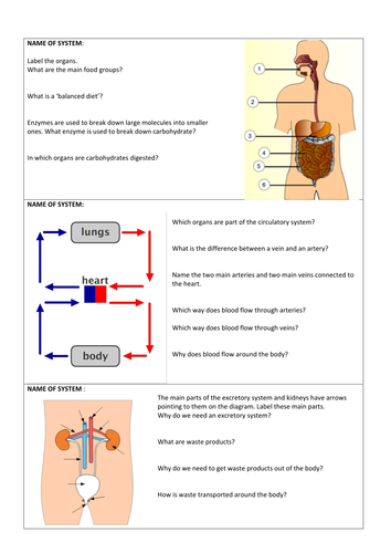 Organ systems