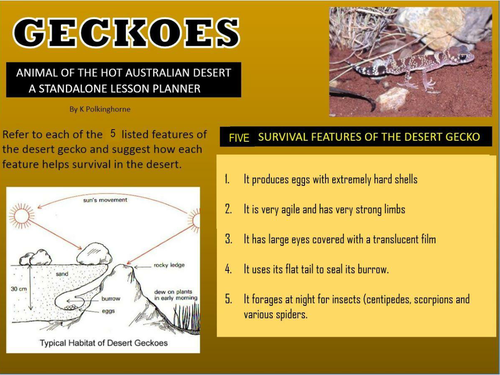 THE  AUSTRALIAN GECKO -A CLASSROOM LESSON ACTIVITY