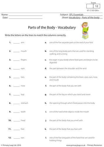 Parts of the Body - Vocabulary