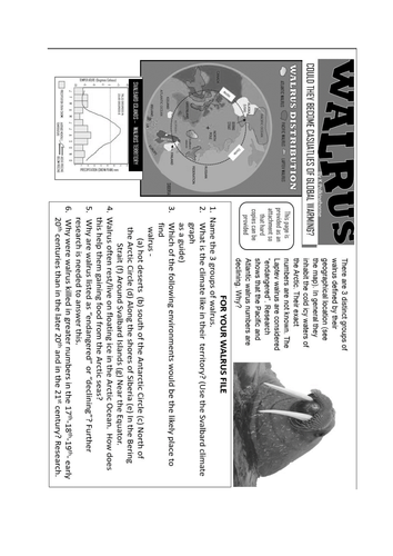 COULD THE ARCTIC WALRUS BECOME A CASUALTY OF GLOBAL WARMING