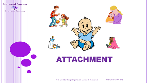 Animation Bundle - Attachment