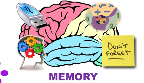 Animation Bundle - Memory