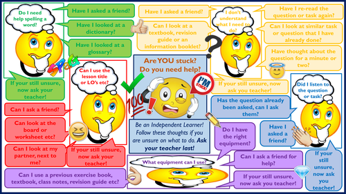 Whole School: Independent Learner Learning Mat