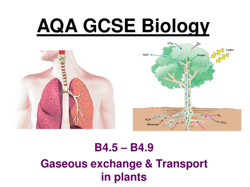 New AQA GCSE Biology B4.5 to 4.9 (Separates)