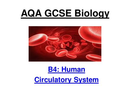 New AQA GCSE Biology B4.1 to 4.4 Circulatory System (Separates)
