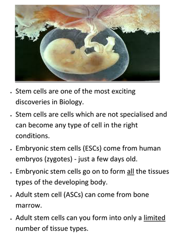 KS4 New AQA 2016  B2 cell division L3 and 4 Stem cells and ethics