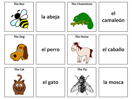Spanish Vocabulary Card Sorts