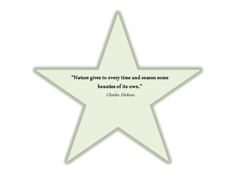 Nature star quotes, can be laminated and placed in outdoor area