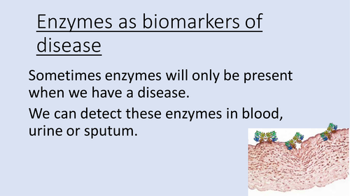 Enzymes as Biomarkers
