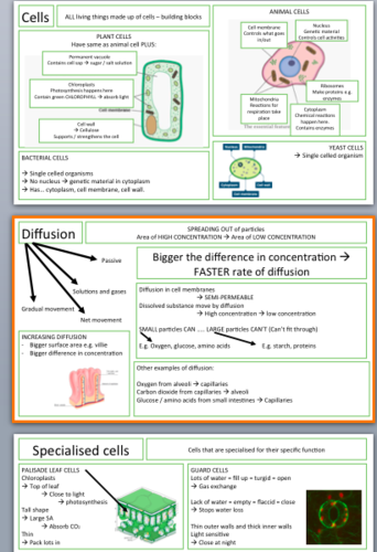 Additional Science Revision notes: B2, C2, P2