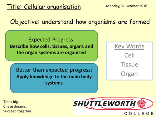 GCSE biology revision resources, notes and questions | TES