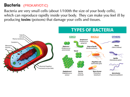 *UPDATED* AQA 9-1 (2016) GCSE Biology - Communicable Diseases (Unit 3 Infection and Response)