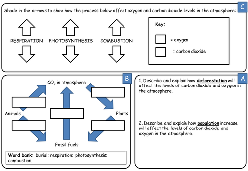 Clean air/carbon cycle worksheet to support video
