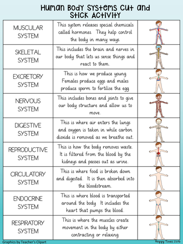 HUMAN BODY SYSTEMS Cut and Match ACTIVITY | Teaching Resources