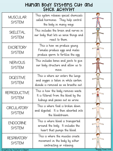 HUMAN BODY SYSTEMS Cut and Match ACTIVITY