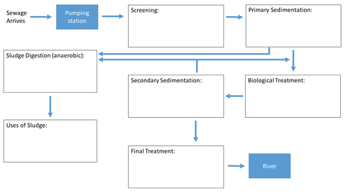 Treating Waste Water - complete lesson about sewage for ... digestion flow diagram 