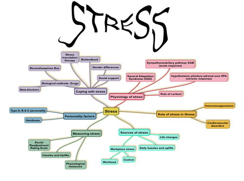 AQA psychology Stress