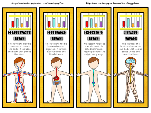 24 HUMAN BODY SYSTEMS Bookmarks