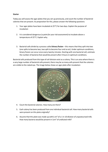 Counting bacterial colonies on an agar plate