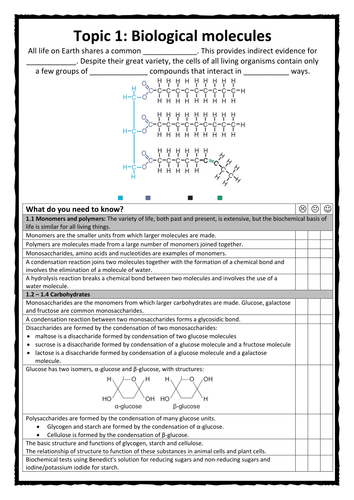 AQA A-level Biology (2016 specification). Sections 1 & 2: Folder dividers, glossary & check sheet