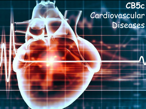 Edexcel CB5c Cardiovascular Disease