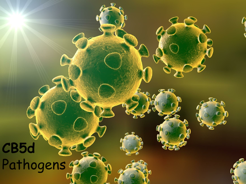 Edexcel CB5d Pathogens