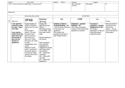 10 days literacy planning on Alice in Wonderland for Year 2