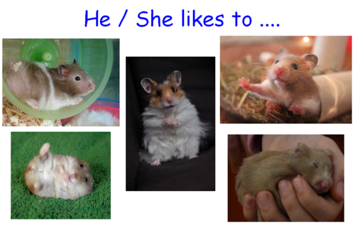 Bundle - Commas to separate items in a list