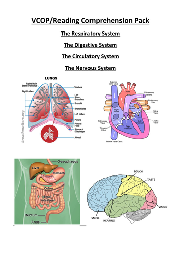 KS2/KS3 Science & English Pack (VCOP & Comprehension) Digestive, Respiratory, Circulatory &  Systems