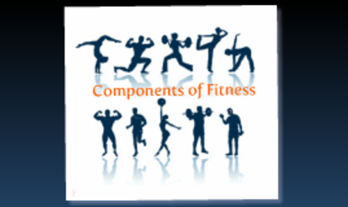 Components of Fitness