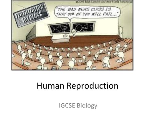 GCSE level PPT Human Reproduction