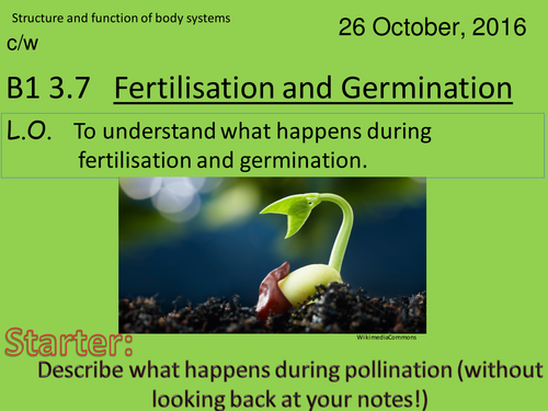 Activate 1: B1:  Fertilisation and Germination