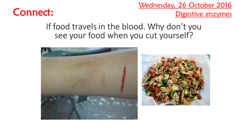 KS4 AQA New 2016 B3 L6 Digestive enzymes includes REQUIRED practical